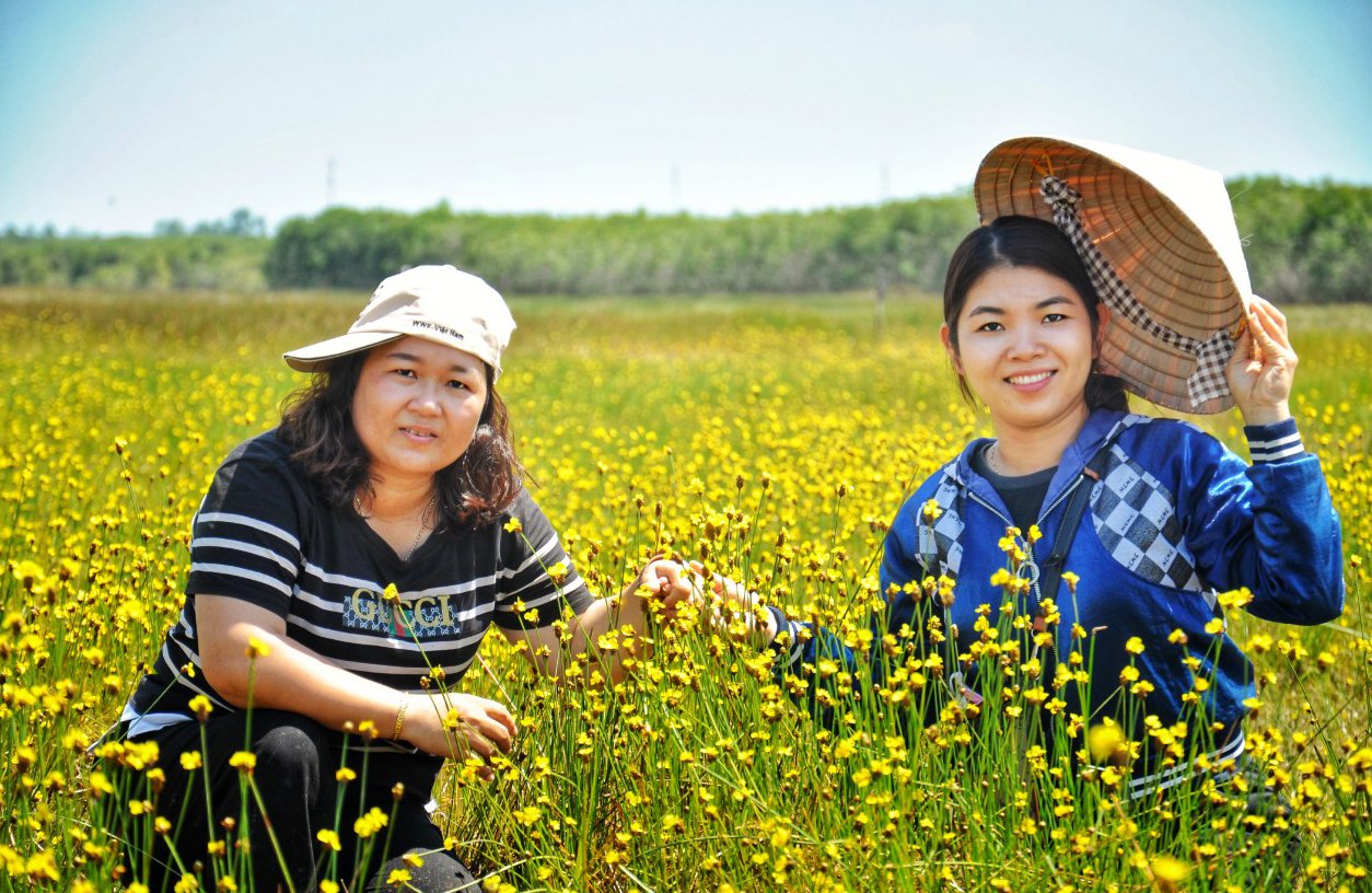 Hấp dẫn tour ngắm hoa hoàng đầu ấn ở Tràm Chim - Ảnh 2.