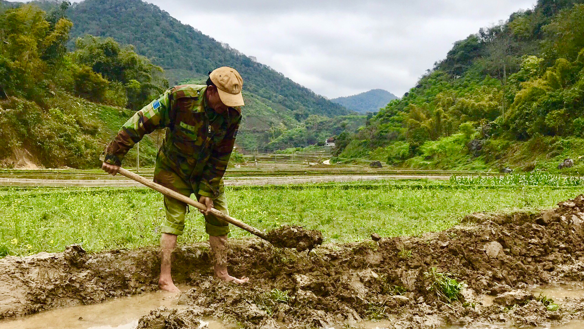 Nông thôn Tây Bắc: Khẩn trương gieo cấy lúa vụ xuân - Ảnh 5.