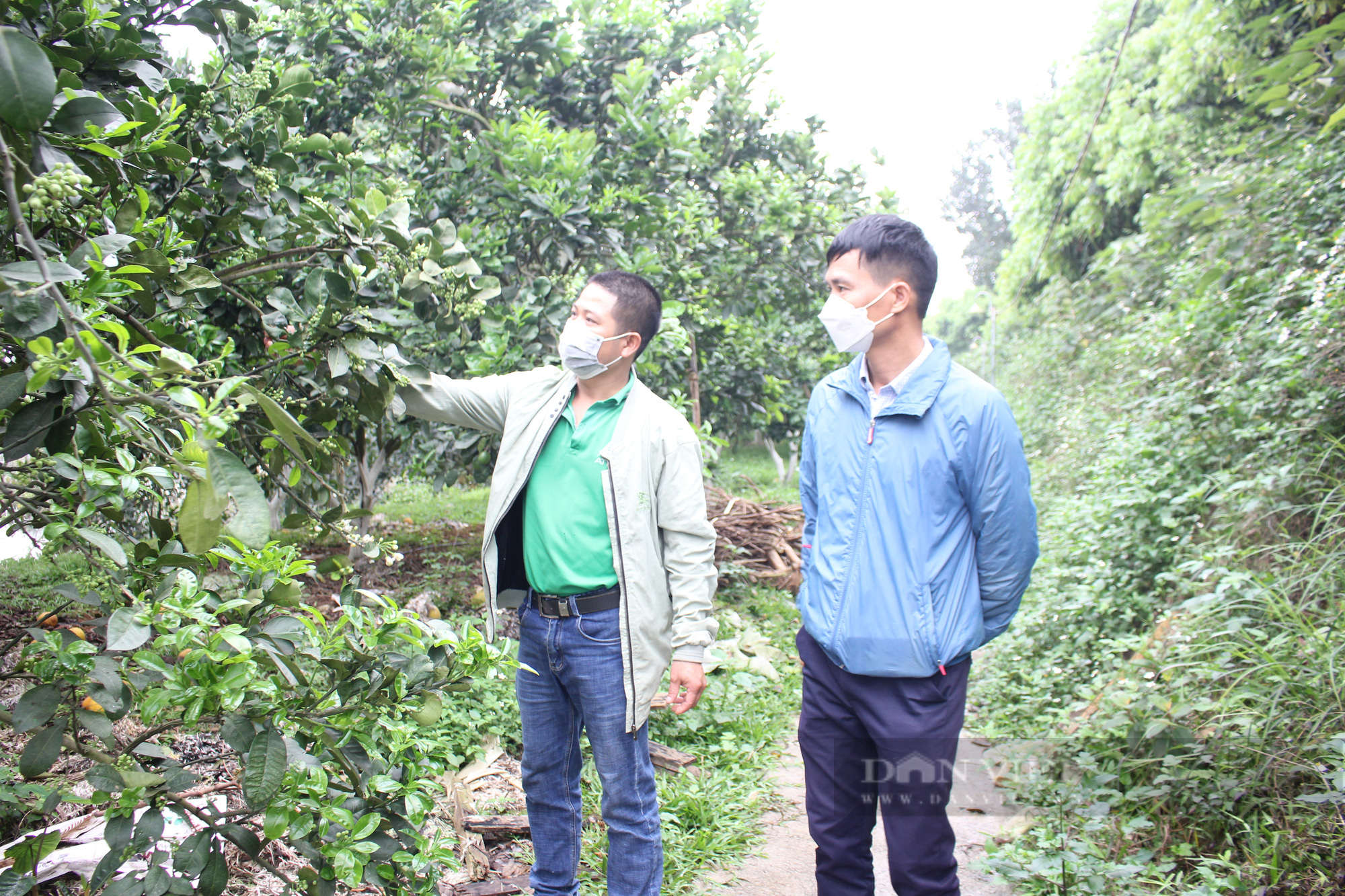 Hà Nội: &quot;Hô biến&quot; mảnh đất mọc đầy cỏ dại thành trang trại nuôi con đặc sản, anh nông dân thu 700 triệu đồng/năm  - Ảnh 5.