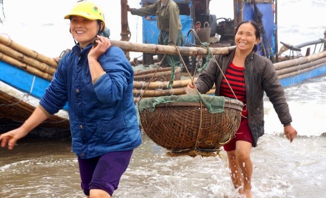 Con moi ở Thanh Hóa là con gì mà dân ra biển vớt về sấy khô bán sang cả Nhật Bản, Hàn Quốc? - Ảnh 2.