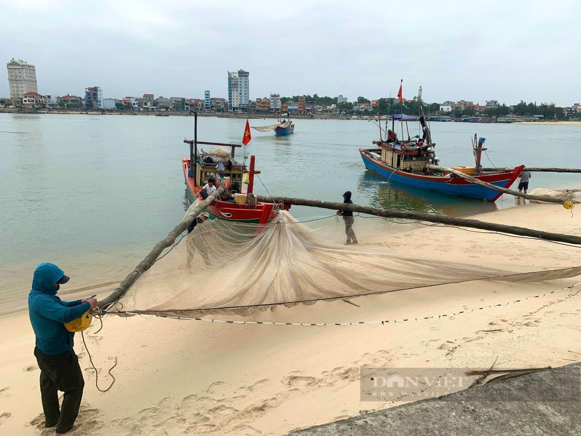 Ngư dân Quảng Bình trúng mùa ruốc, cá trích nhưng buồn vì điều này? - Ảnh 3.