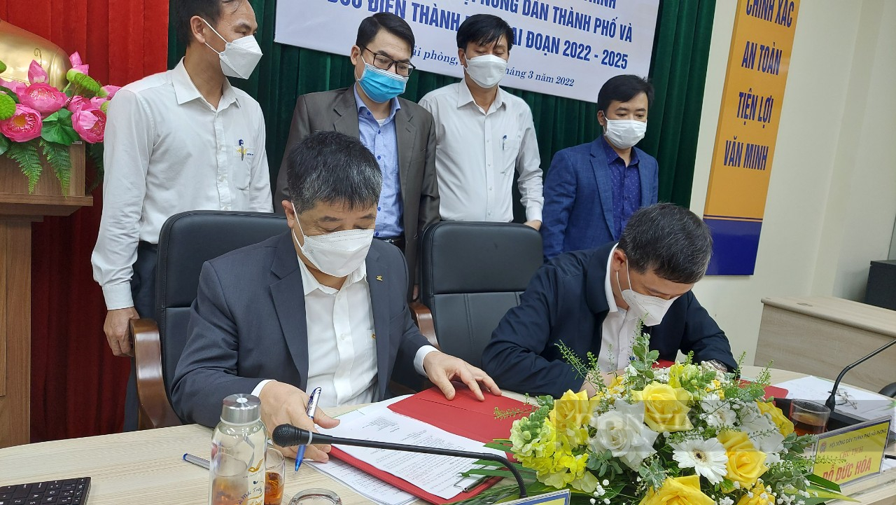  Hải Phòng: Hội Nông dân thành phố hợp tác với Bưu điện thành phố kết nối tiêu thụ hàng hóa nông sản - Ảnh 4.