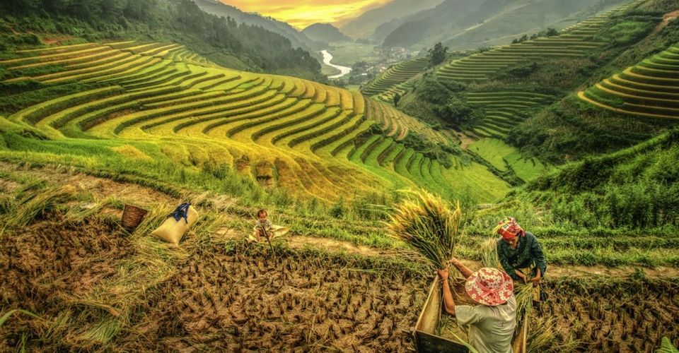 Báo nước ngoài ca ngợi điểm đến vùng cao, du khách không thể bỏ lỡ khi tới Việt Nam - Ảnh 1.