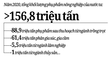 Tận dụng 156 triệu tấn phụ  phẩm làm thức ăn chăn nuôi - Ảnh 2.