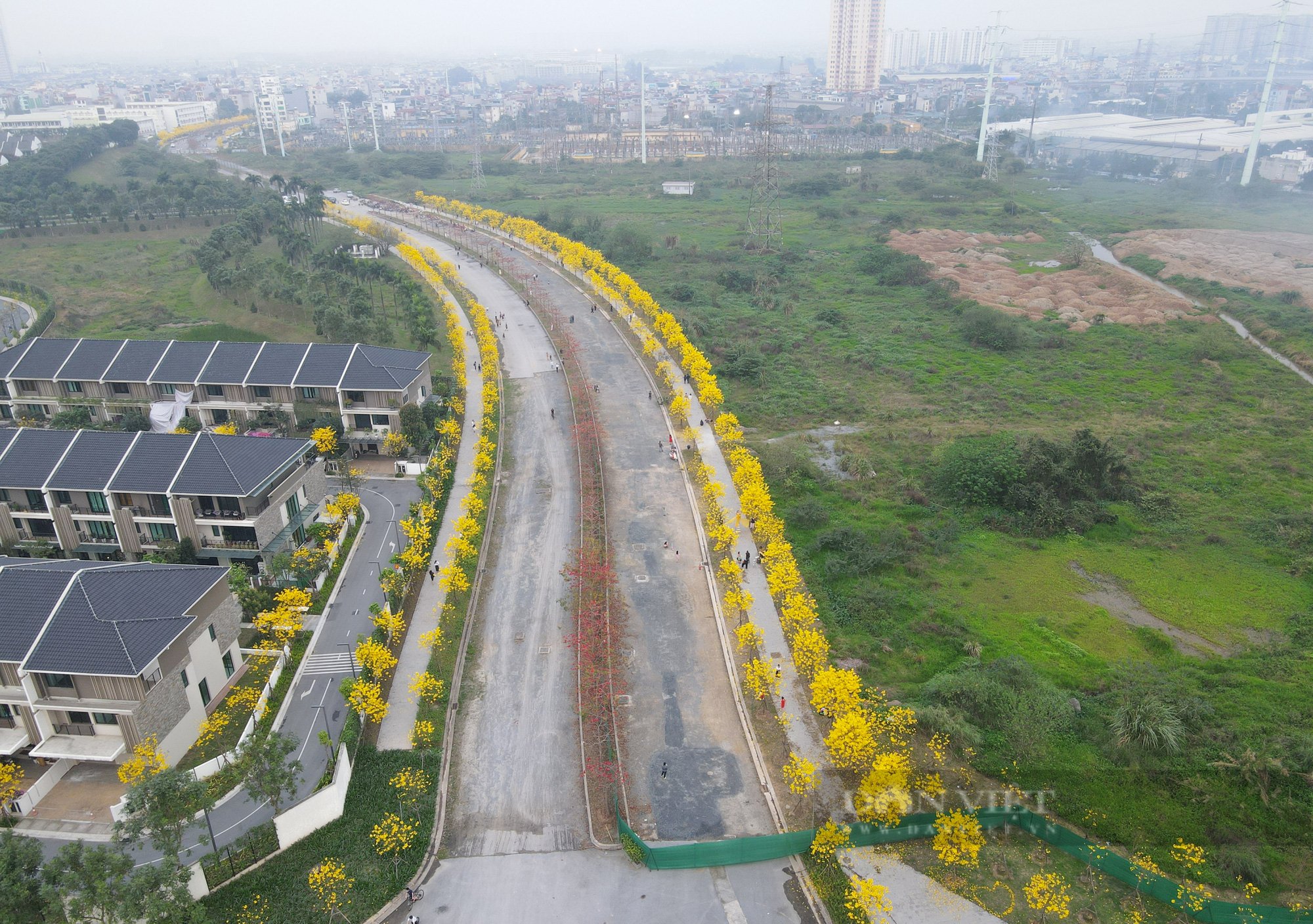 Nhiều ngày nay, những người có sở thích chụp ảnh lưu niệm ở Hà Nội  liên tục đổ về con đương hoa phong linh ở Hà Đông (Hà Nội) để chụp ảnh check in.