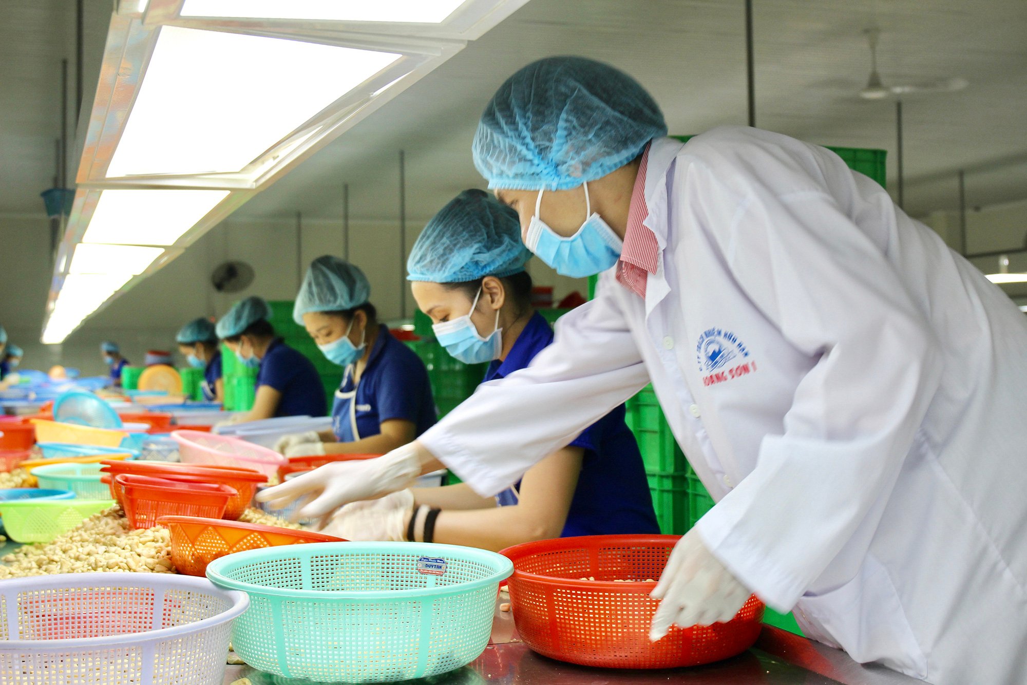 Việt Nam mua tới 7,8 triệu tấn các loại của Campuchia để làm gì? - Ảnh 1.