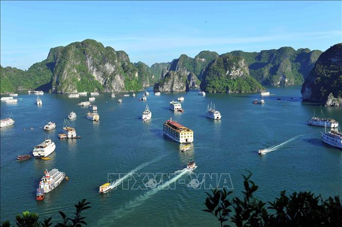 Khám phá vịnh Hạ Long - Kỳ quan du lịch thiên nhiên thế giới - Ảnh 3.