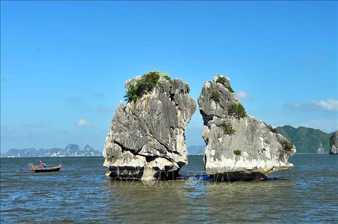 Khám phá vịnh Hạ Long - Kỳ quan du lịch thiên nhiên thế giới - Ảnh 9.