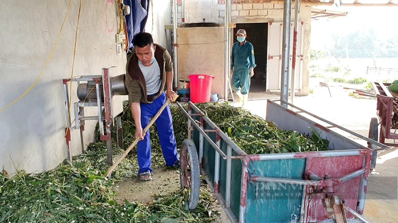 9x Thanh Hóa làm giàu từ mô hình nuôi dê Boer nhốt chuồng - Ảnh 6.