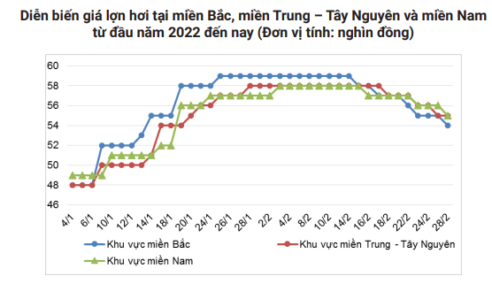 Thị trường chăn nuôi bị bủa vây khó khăn, giá khó &quot;ngóc đầu&quot; lên được - Ảnh 2.