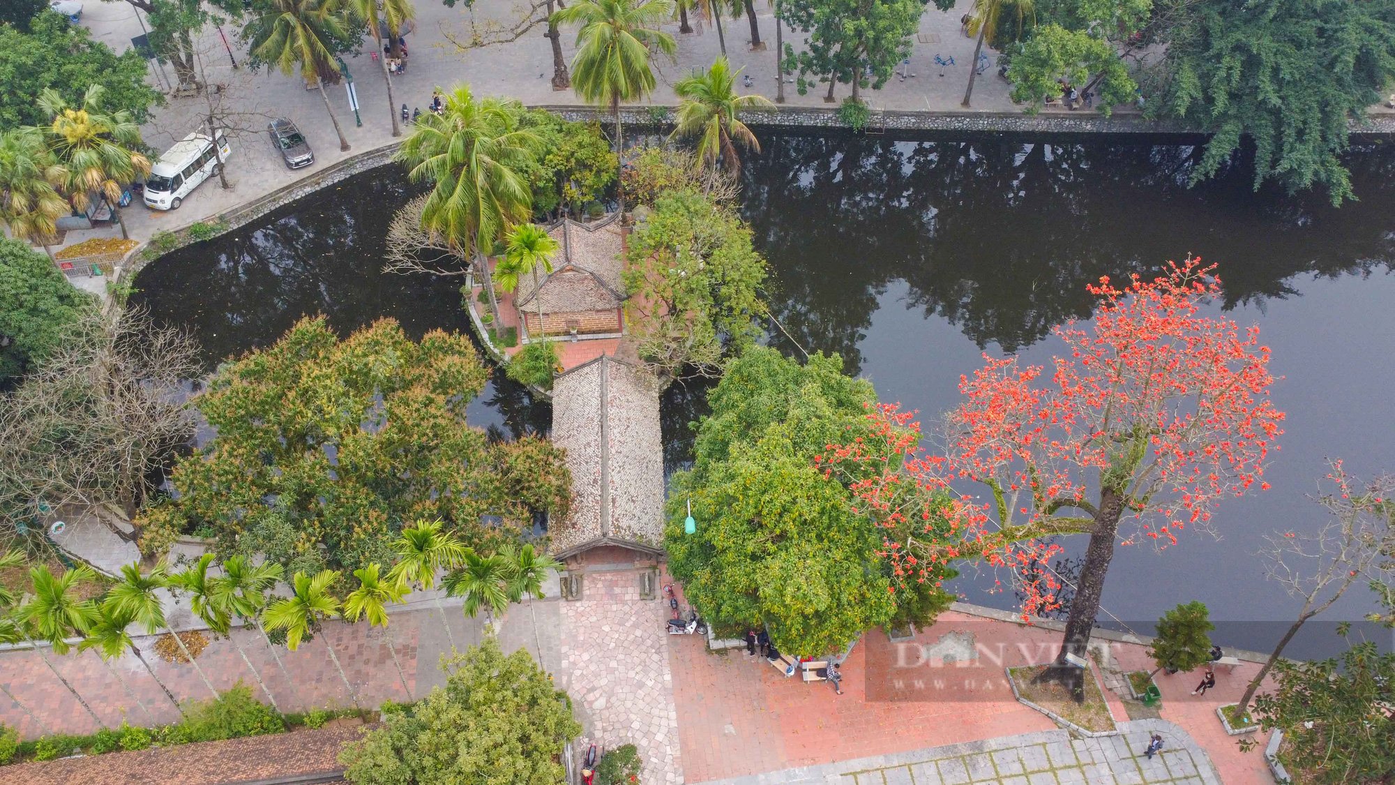 Hoa gạo nở đỏ rực bên ngôi chùa nghìn năm tuổi tại Hà Nội - Ảnh 1.