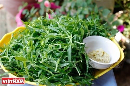 Thứ &quot;rau đặc sản&quot; lạ lùng của người Thái ở vùng đất này của Sơn La hóa ra là một loài cỏ dại mọc hoang - Ảnh 7.