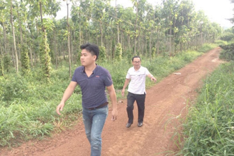 Đắk Nông: Nguyên Thường vụ Tỉnh uỷ bị thu hồi hàng chục ha đất cấp trái quy định  - Ảnh 2.