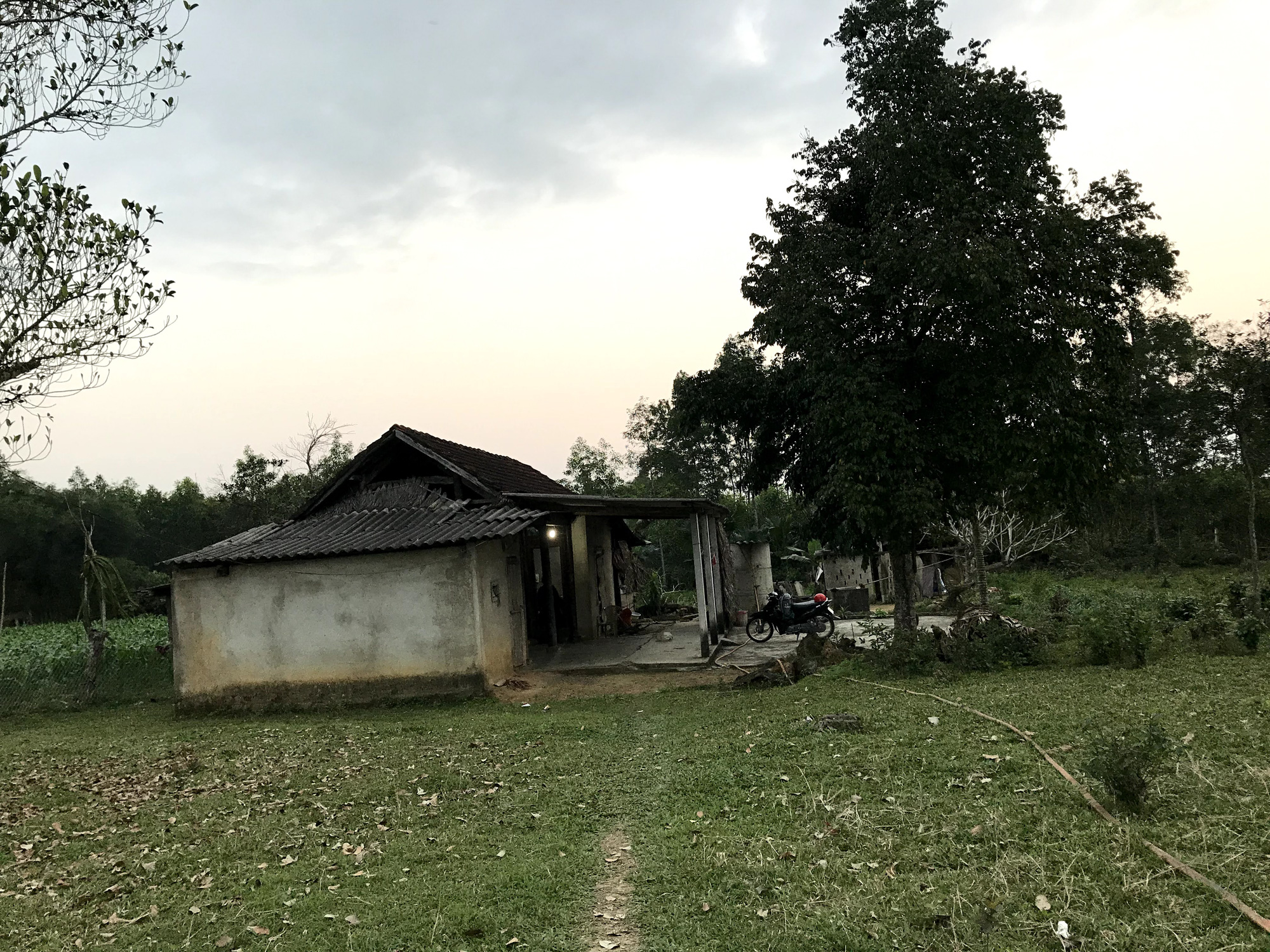 Kể chuyện làng: Ông bà và khu vườn già - Ảnh 1.