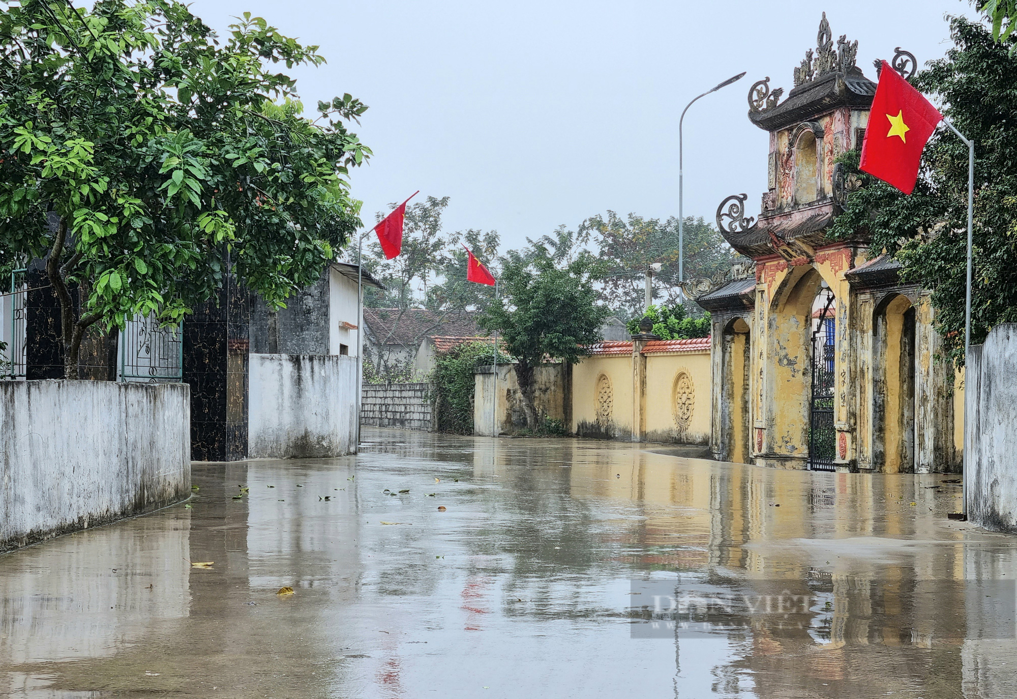 Xóm có hơn 20 hộ ở Thanh Hóa mà hiến hàng trăm m2 đất để làm đường đẹp như đường phố - Ảnh 4.