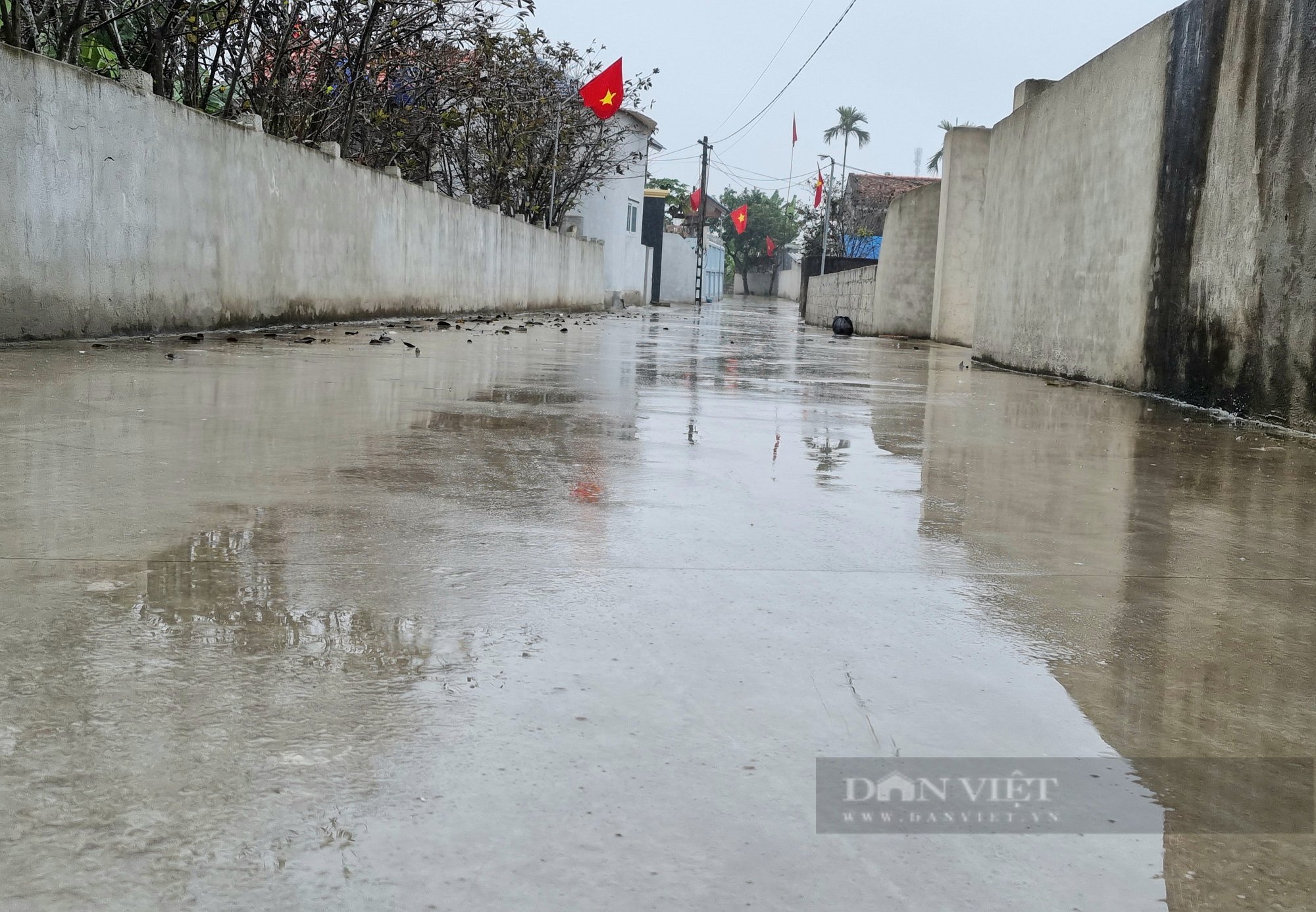 Xóm có hơn 20 hộ ở Thanh Hóa mà hiến hàng trăm m2 đất để làm đường đẹp như đường phố - Ảnh 7.