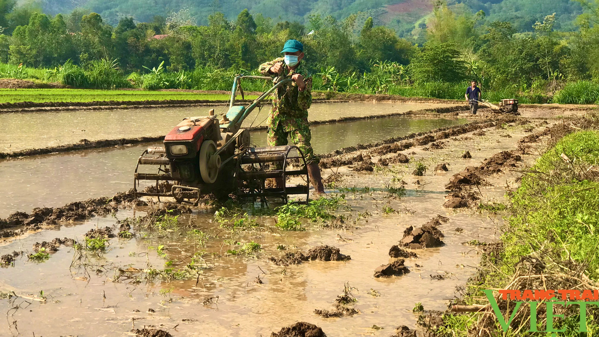 Nông dân Tây Bắc: Hướng tới vụ xuân thắng lợi - Ảnh 3.