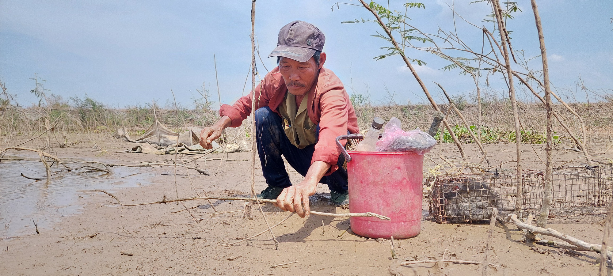 Chuột cống nhum là con đặc sản gì mà phát ra tiếng &quot;khè khè&quot; rất hung dữ, có con nặng hơn 1kg? - Ảnh 1.