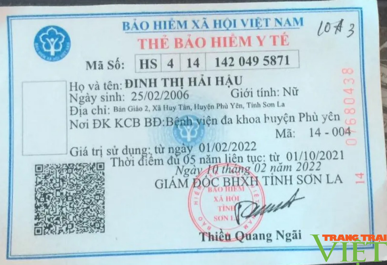 Phát triển đối tượng tham gia BHYT tự nguyện ở xã nông thôn mới - Ảnh 5.