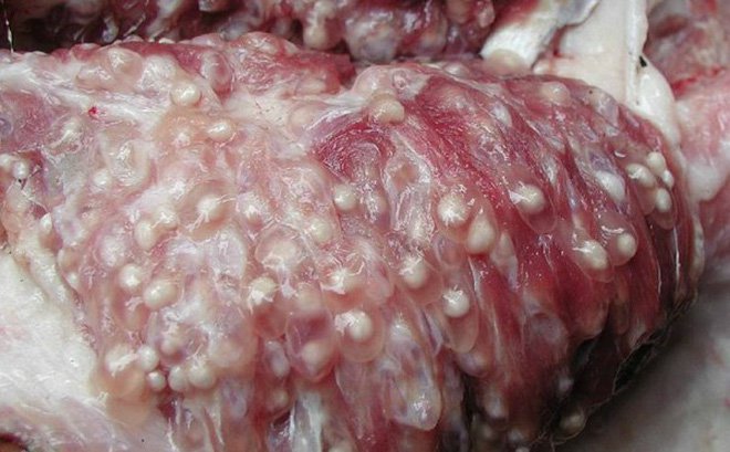Người bán tiết lộ thịt lợn có 6 dấu hiệu này, giảm giá kiểu gì cũng không nên mua - Ảnh 3.