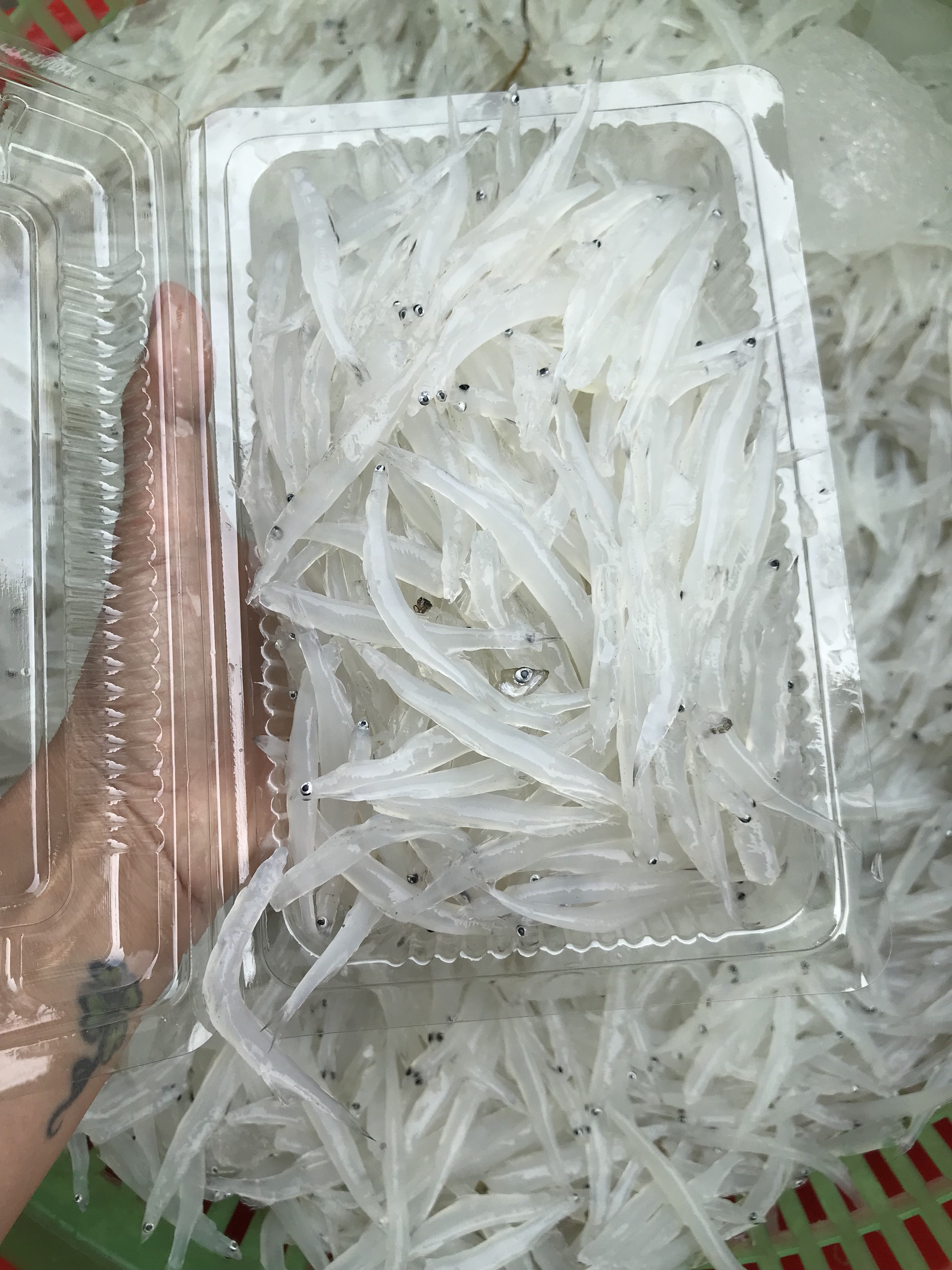 Loài cá cả năm chỉ xuất hiện 1 lần, cực nhiều dinh dưỡng, xưa cho chẳng ai lấy, nay &quot;lên đời&quot; chẳng có mà mua - Ảnh 2.