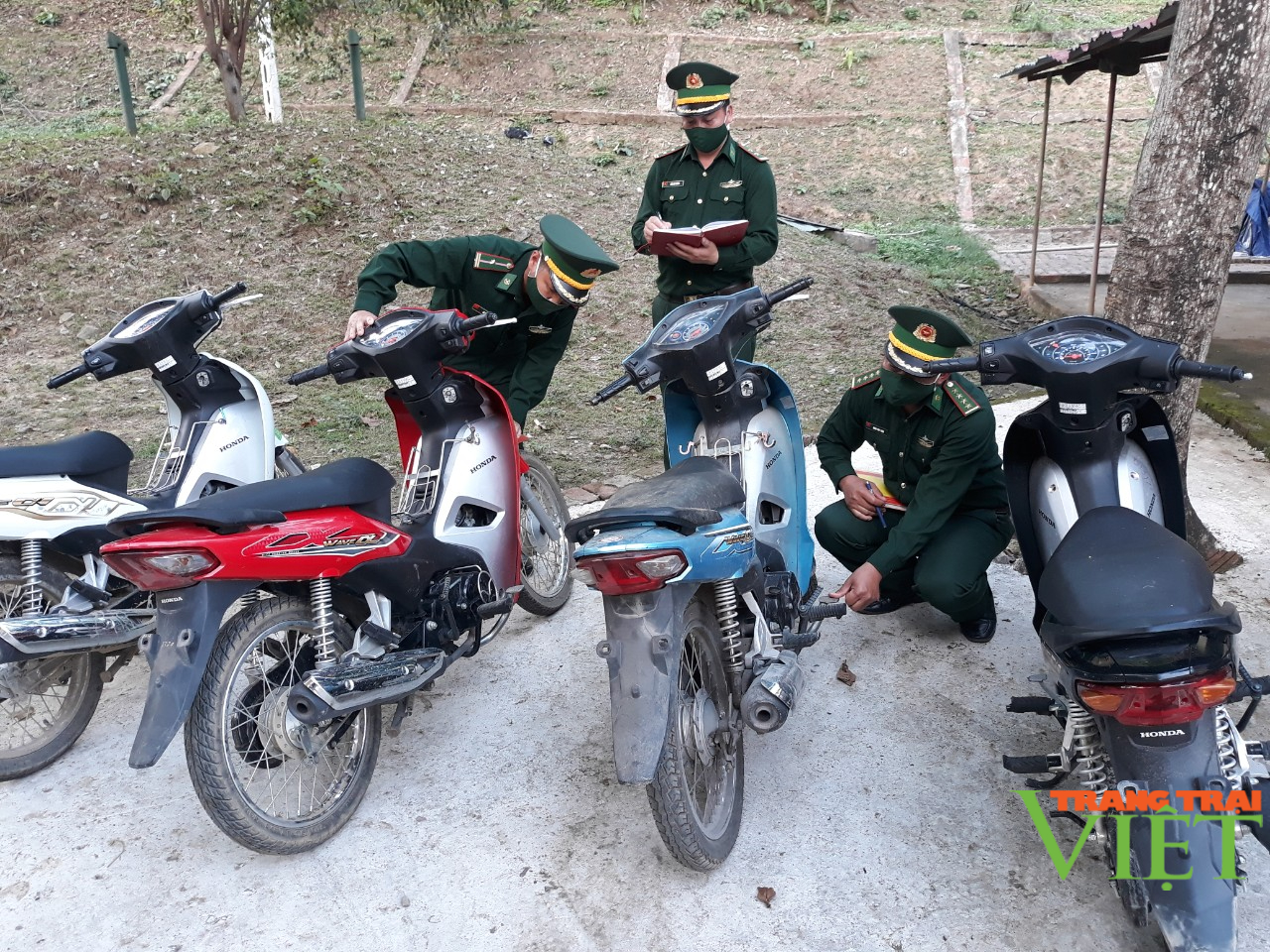 Sơn La: Liên tiếp bắt giữ 6 xe máy không rõ nguồn gốc đang đưa sang biên giới tiêu thụ - Ảnh 2. Sơn La: Liên tiếp bắt giữ 6 xe máy không rõ nguồn gốc đang đưa sang biên giới tiêu thụ - Ảnh 2.