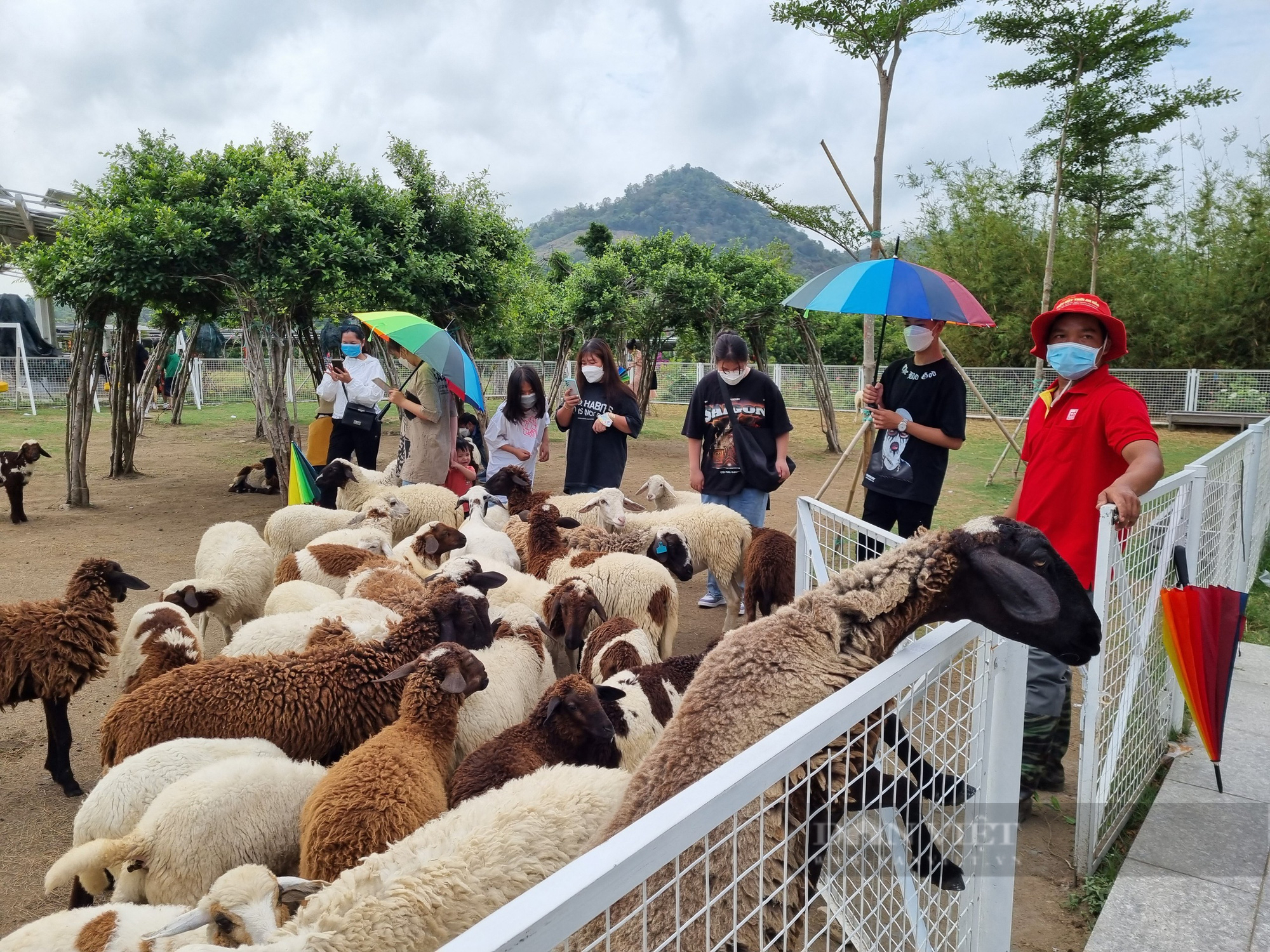 SAI PHẠM TẠI CÁC ĐIỂM DU LỊCH THUỘC CÔNG TY CỔ PHẦN DU LỊCH AN GIANG: - Ảnh 6.