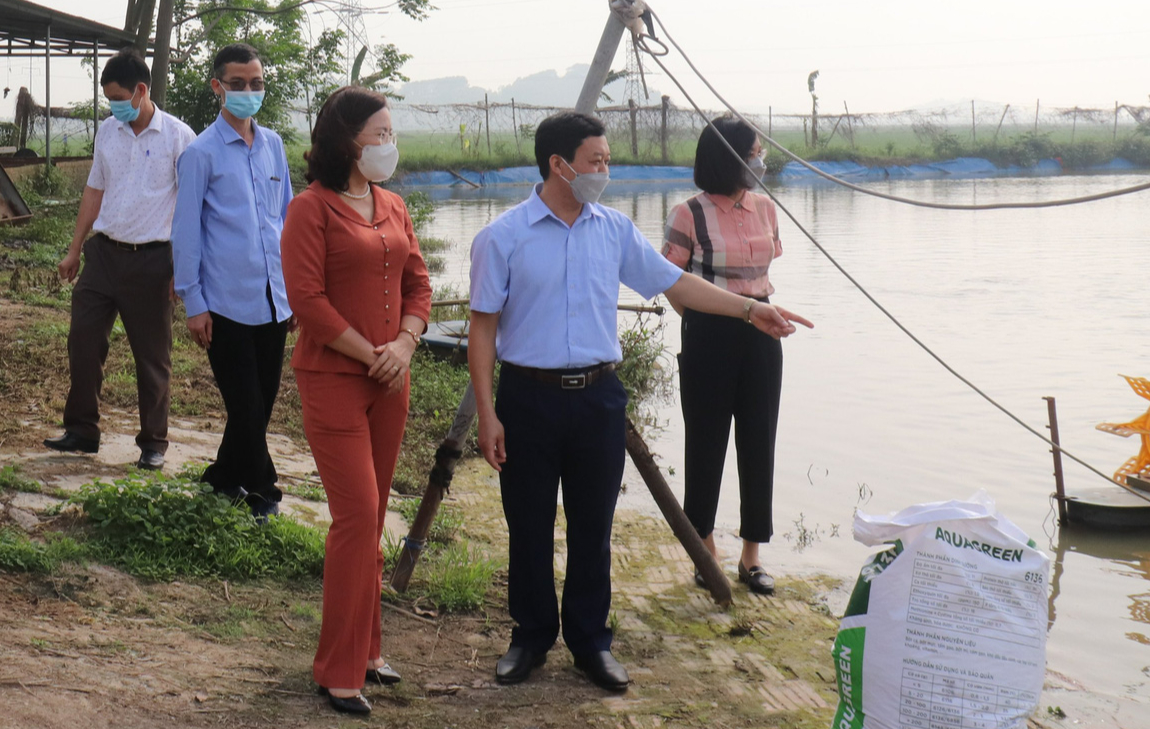 Phó Chủ tịch Hội NDVN Bùi Thị Thơm: Khảo sát xây dựng mô hình kinh tế tuần hoàn tại tỉnh Bắc Giang- Ảnh 1.