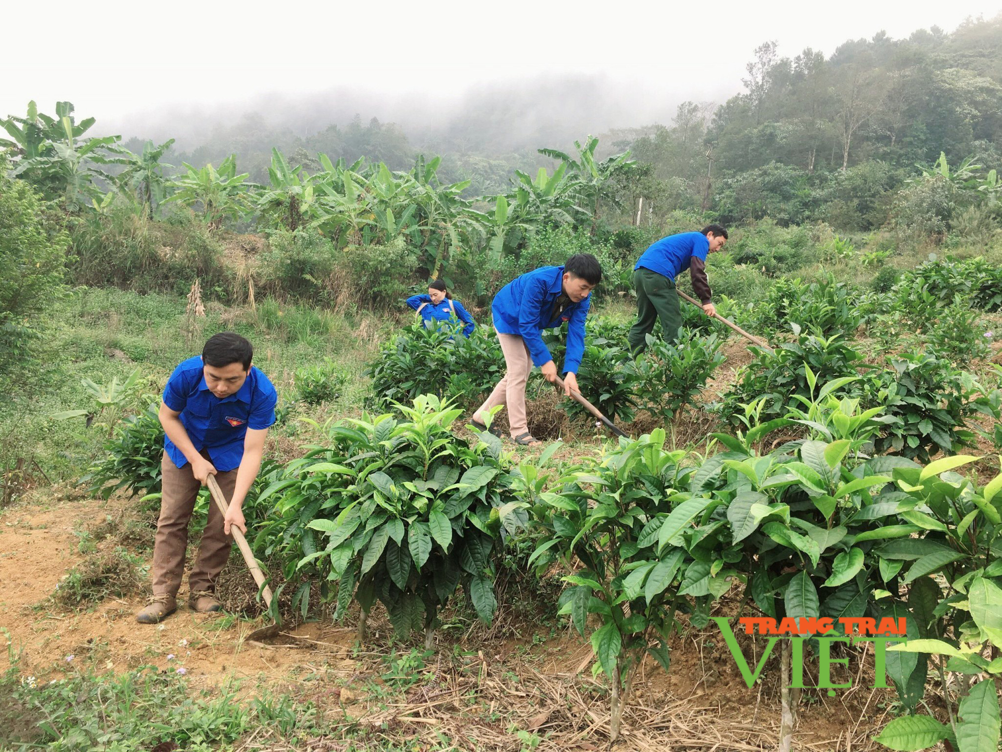 Lai Châu: Những dấu chân tình nguyện của tuổi trẻ - Ảnh 1. Lai Châu: Những dấu chân tình nguyện của tuổi trẻ - Ảnh 1.