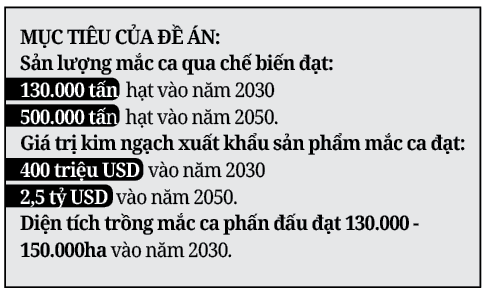 “Không mở rộng ồ ạt, làm đâu chắc đó” - Ảnh 5.
