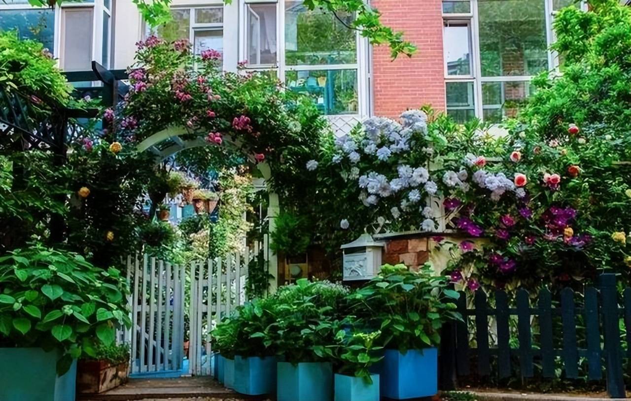 Để trồng cây cảnh, tôi mua nhà có vườn, 10 năm sau tôi biến cuộc sống thành một bài thơ - Ảnh 1.
