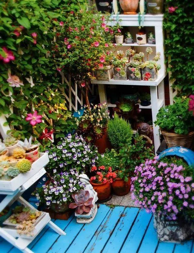 Để trồng cây cảnh, tôi mua nhà có vườn, 10 năm sau tôi biến cuộc sống thành một bài thơ - Ảnh 16.
