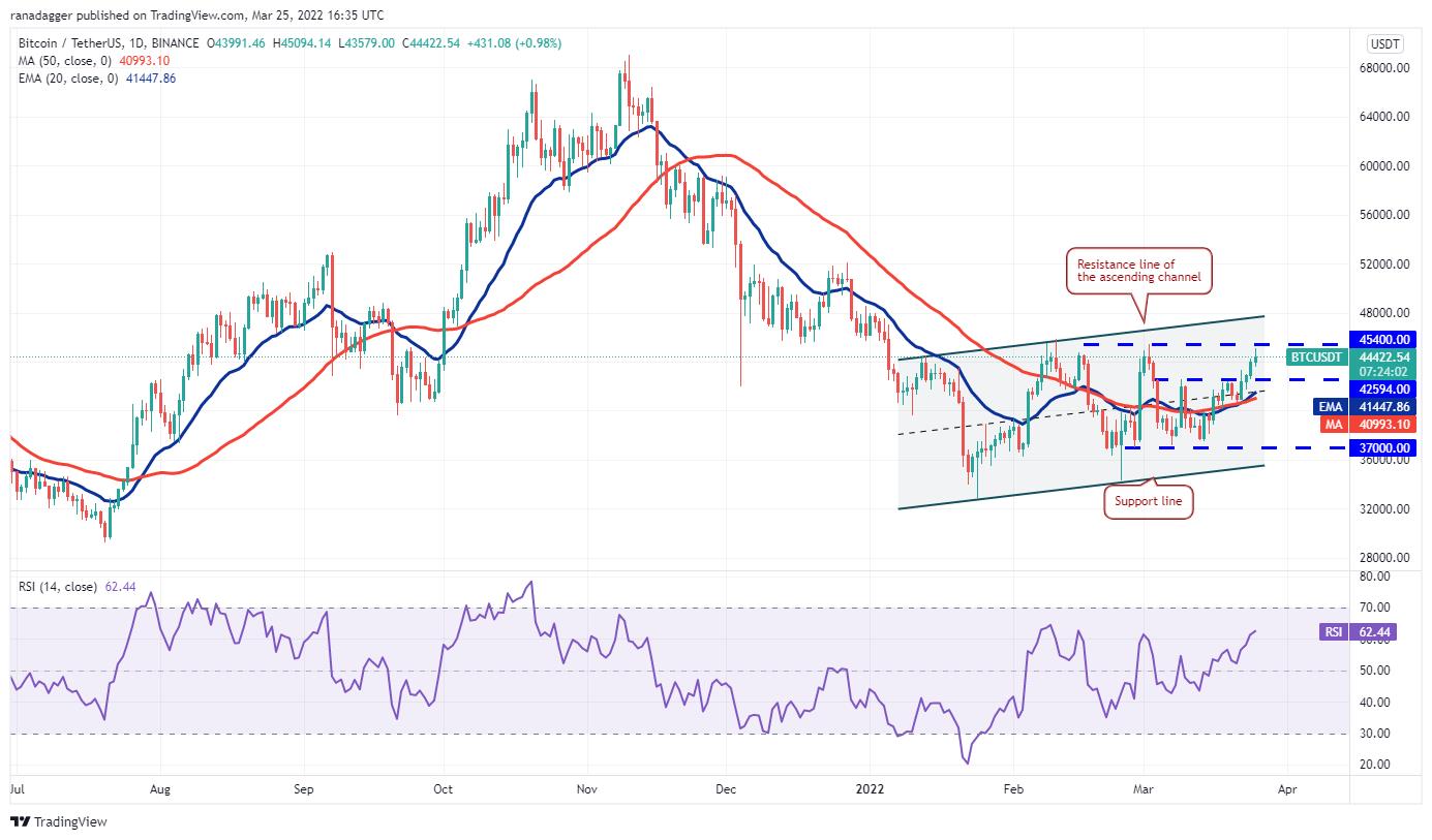 Giá Bitcoin hôm nay 26/3: Bitcoin tăng lên hơn 44.000 USD, thị trường dè dặt - Ảnh 1.
