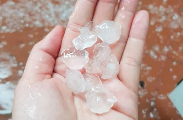 Đà Lạt xuất hiện mưa đá lớn chưa từng có, nhiều nhà kính bị hư hại - Ảnh 1.