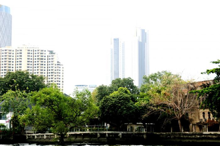 Có một dòng sông dành riêng cho cá - Ảnh 5.