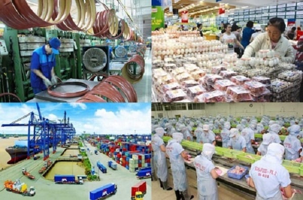 Phát triển kinh tế tư nhân mới chỉ thiên về số lượng - Ảnh 2.