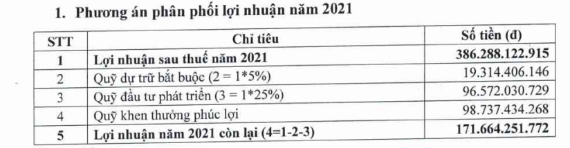 BIC:  Mục tiêu lợi nhuận “đi lùi” 23% trong năm 2022, dự chi cổ tức tỷ lệ 12% - Ảnh 3.