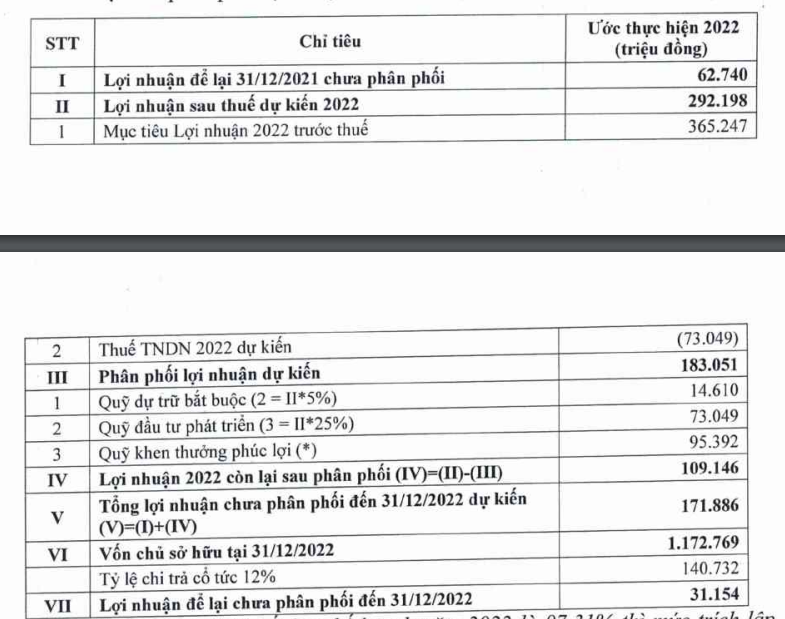 BIC:  Mục tiêu lợi nhuận “đi lùi” 23% trong năm 2022, dự chi cổ tức tỷ lệ 12% - Ảnh 4.