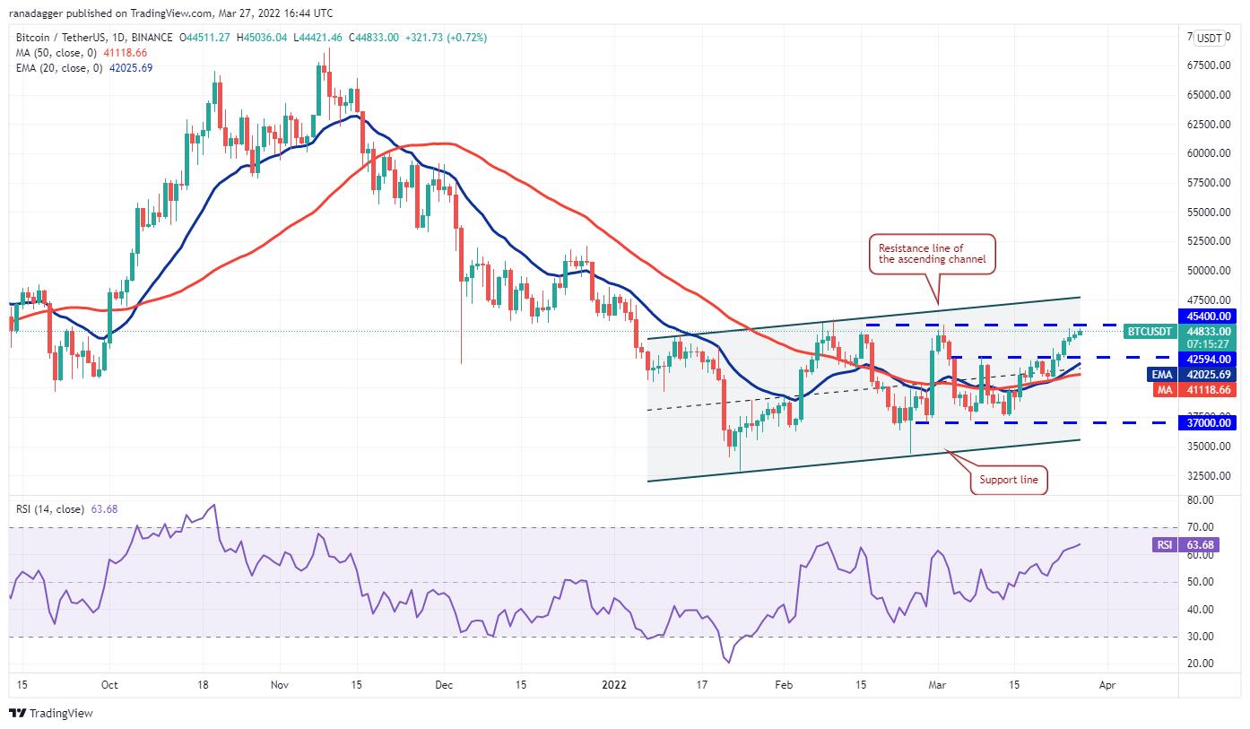 5 đồng coin hàng đầu nên xem trong tuần này - Ảnh 2.