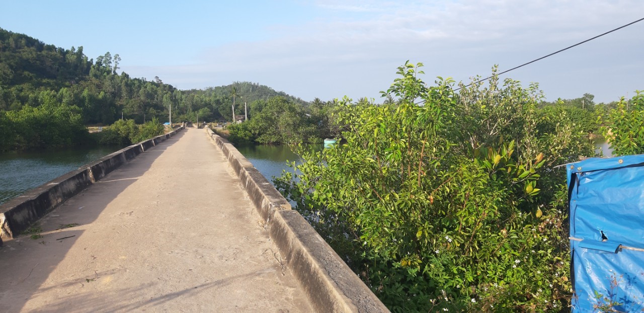 Kể chuyện làng: Hai cây cầu quê hương - Ảnh 1.