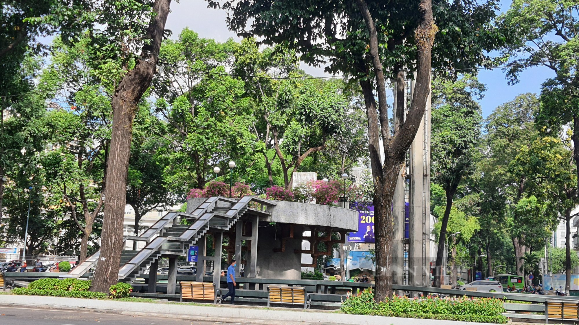 TP.HCM: Cận cảnh Hồ Con Rùa trước ngày chỉnh trang - Ảnh 4.