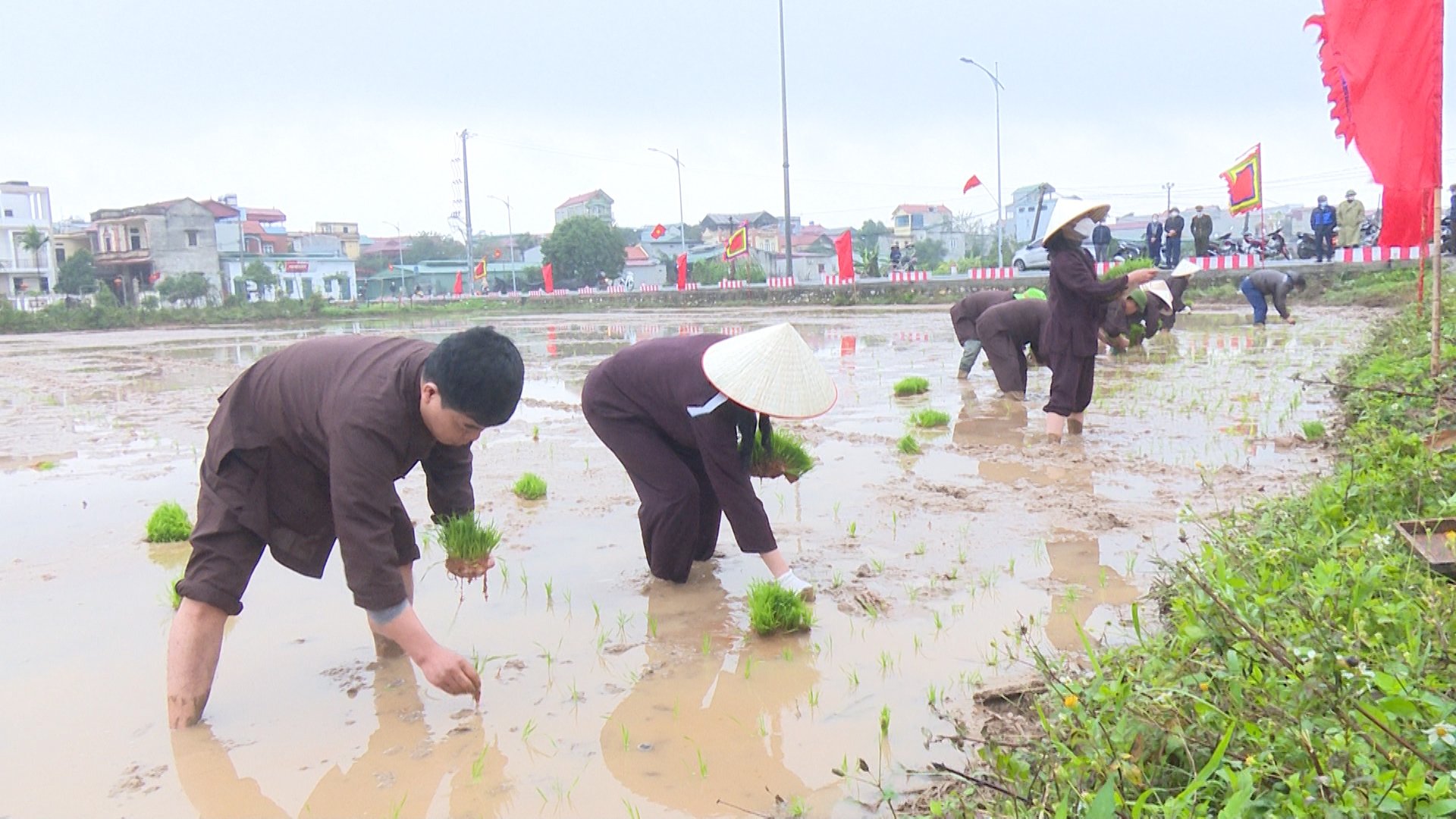 Thường Tín đẩy nhanh tiến độ gieo cấy lúa vụ Xuân 2022 - Ảnh 1.