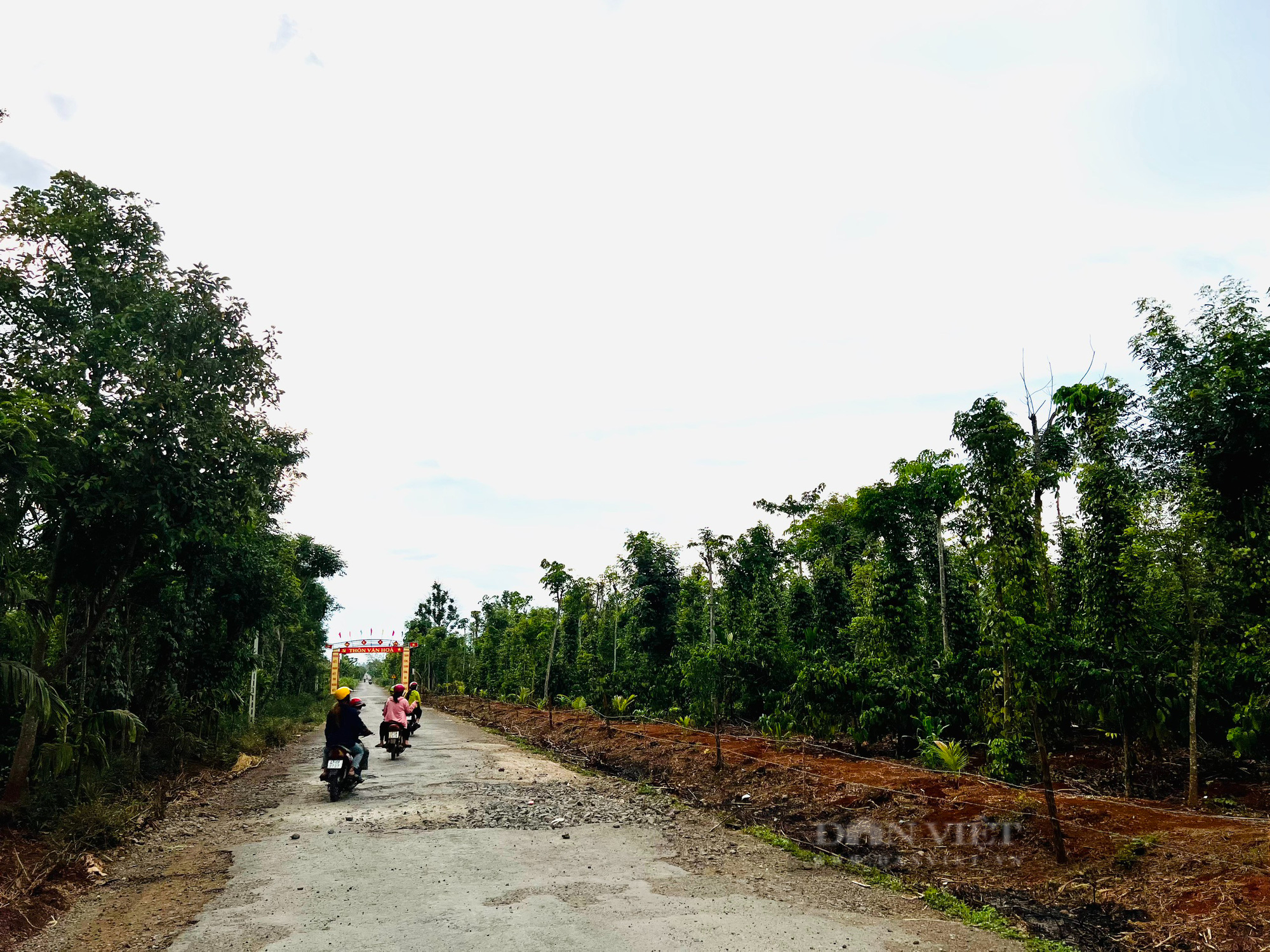 Đắk Lắk: Hàng loạt sai phạm trong công tác quản lý đầu tư xây dựng tại huyện Cư M'gar - Ảnh 1. Đắk Lắk: Hàng loạt sai phạm trong công tác quản lý đầu tư xây dựng tại huyện Cư M'gar - Ảnh 1.