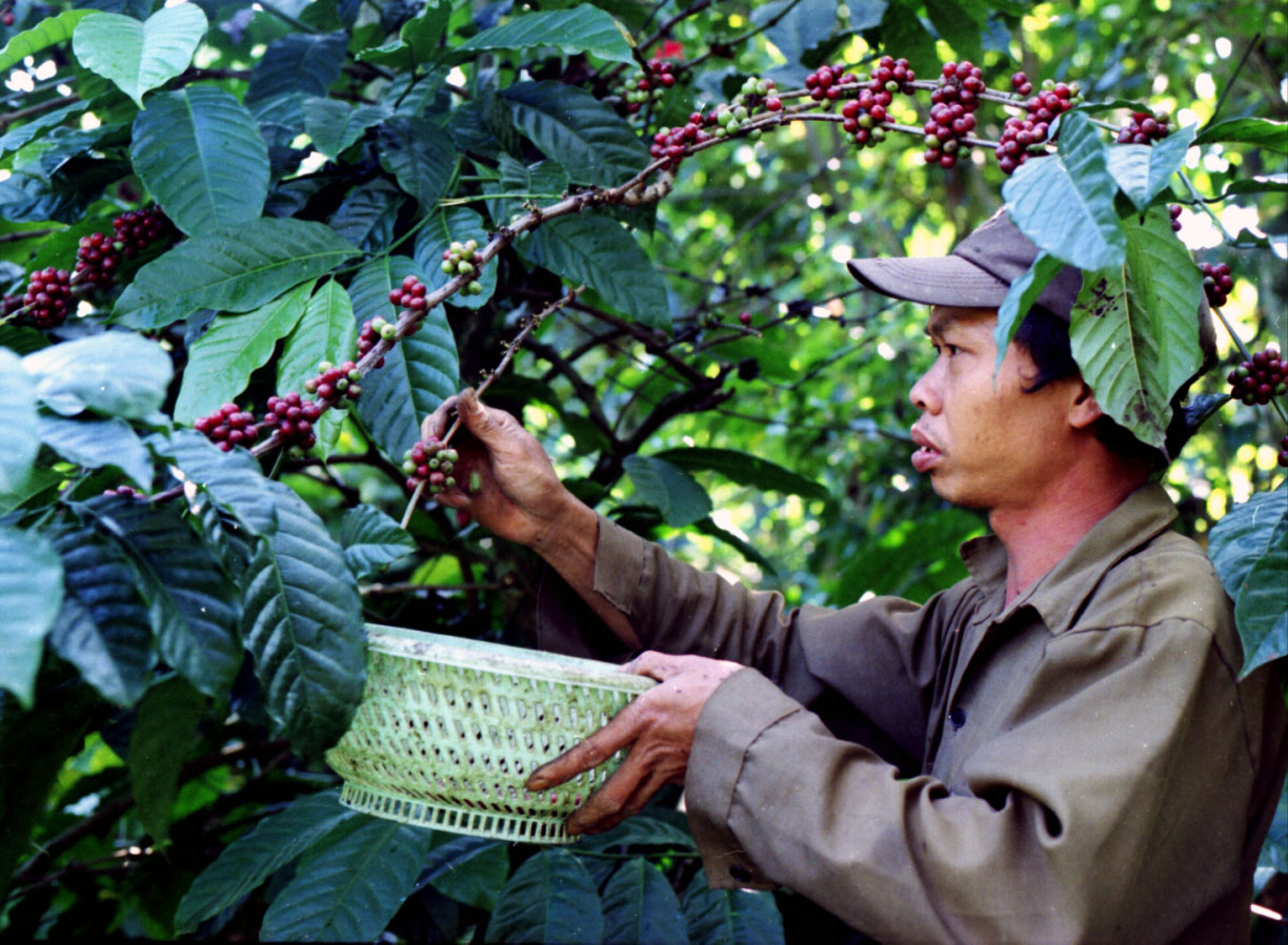 Quý I: Nông, lâm, thủy sản xuất siêu, thặng dư thương mại tăng gấp 3,1 lần - Ảnh 4.