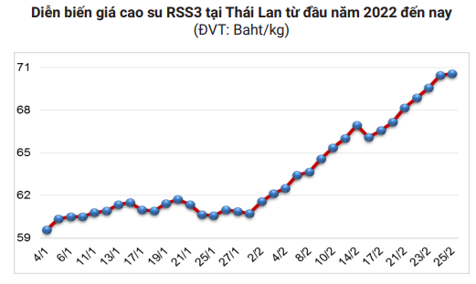 Giá cao su hôm nay 4/3: Quay đầu giảm, xuất khẩu cao su quá buồn, sụt gần 50% - Ảnh 4.