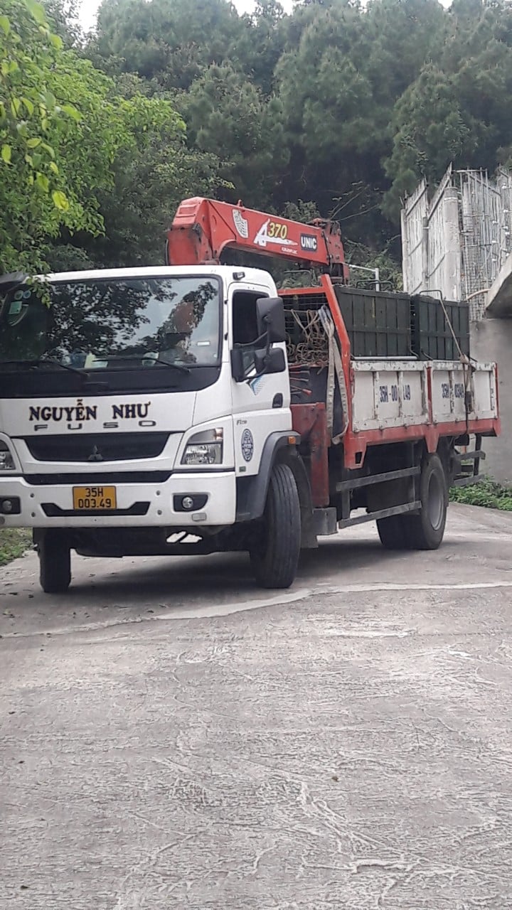 8 con hổ đưa về Vườn thú Hà Nội sẽ được chăm sóc như thế nào? - Ảnh 1.