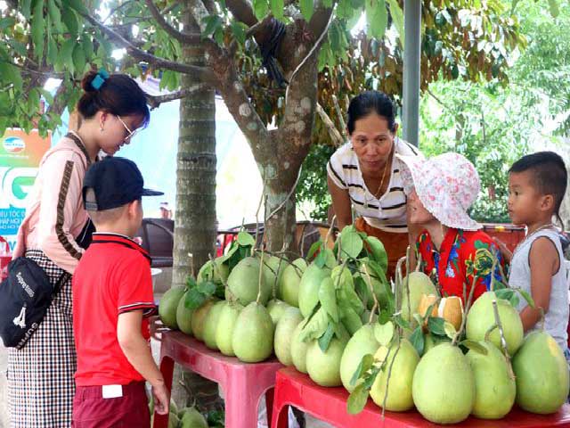 Mứt được làm từ vỏ bưởi trụ Đại Bình hướng đến sản phẩm OCOP - Ảnh 2. Mứt được làm từ vỏ bưởi trụ Đại Bình hướng đến sản phẩm OCOP - Ảnh 2.