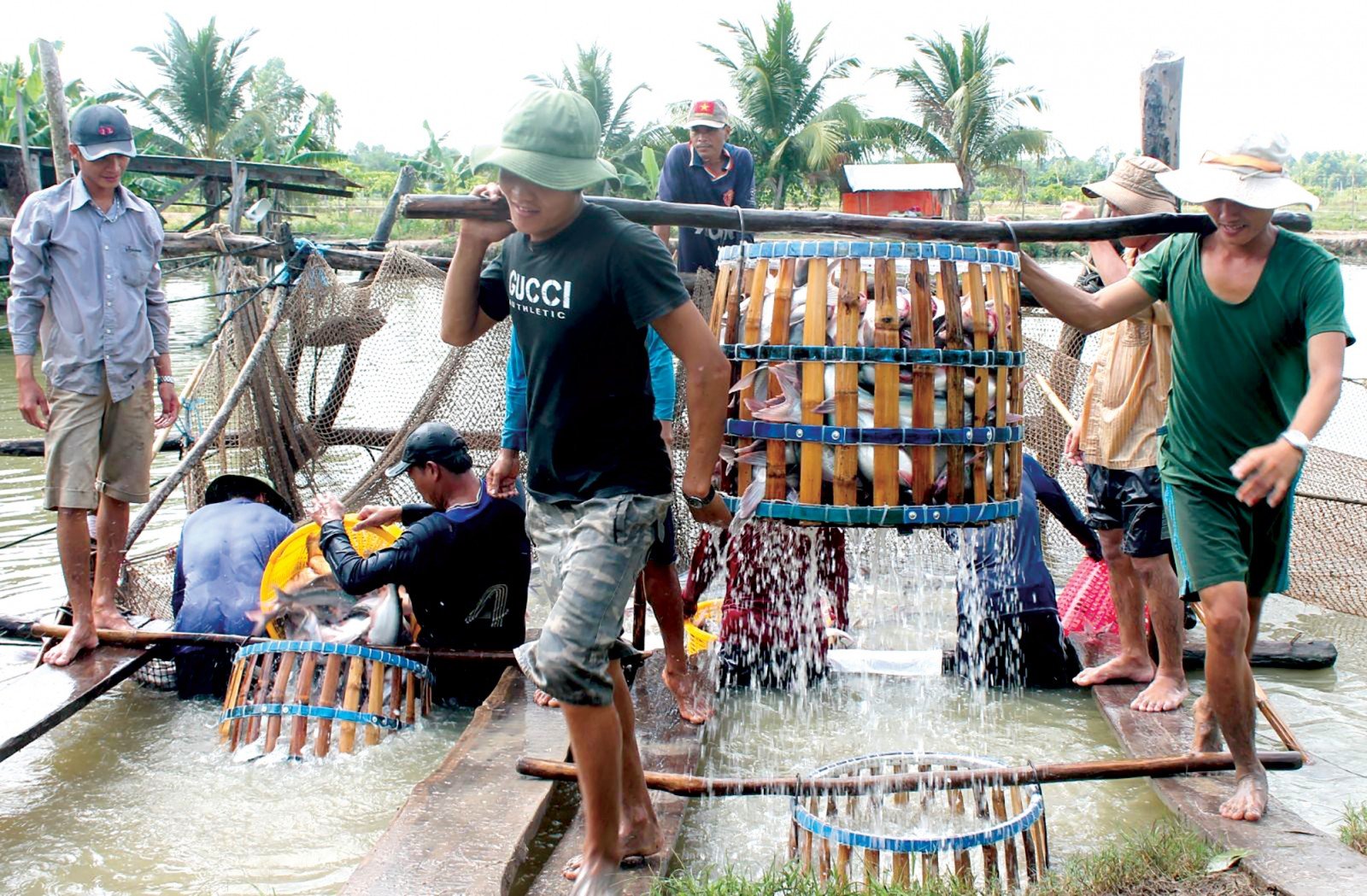 Mỹ, Trung Quốc ráo riết thu gom, 8 loại nông sản này của Việt Nam đột ngột tăng giá trị xuất khẩu - Ảnh 1.