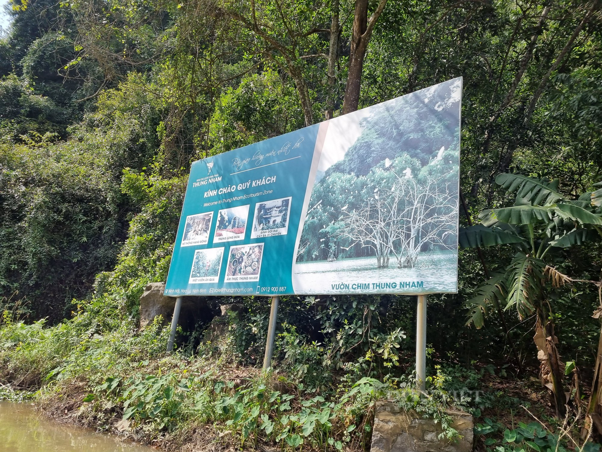 Khám phá vườn chim Thung Nham ở Ninh Bình - Ảnh 3.