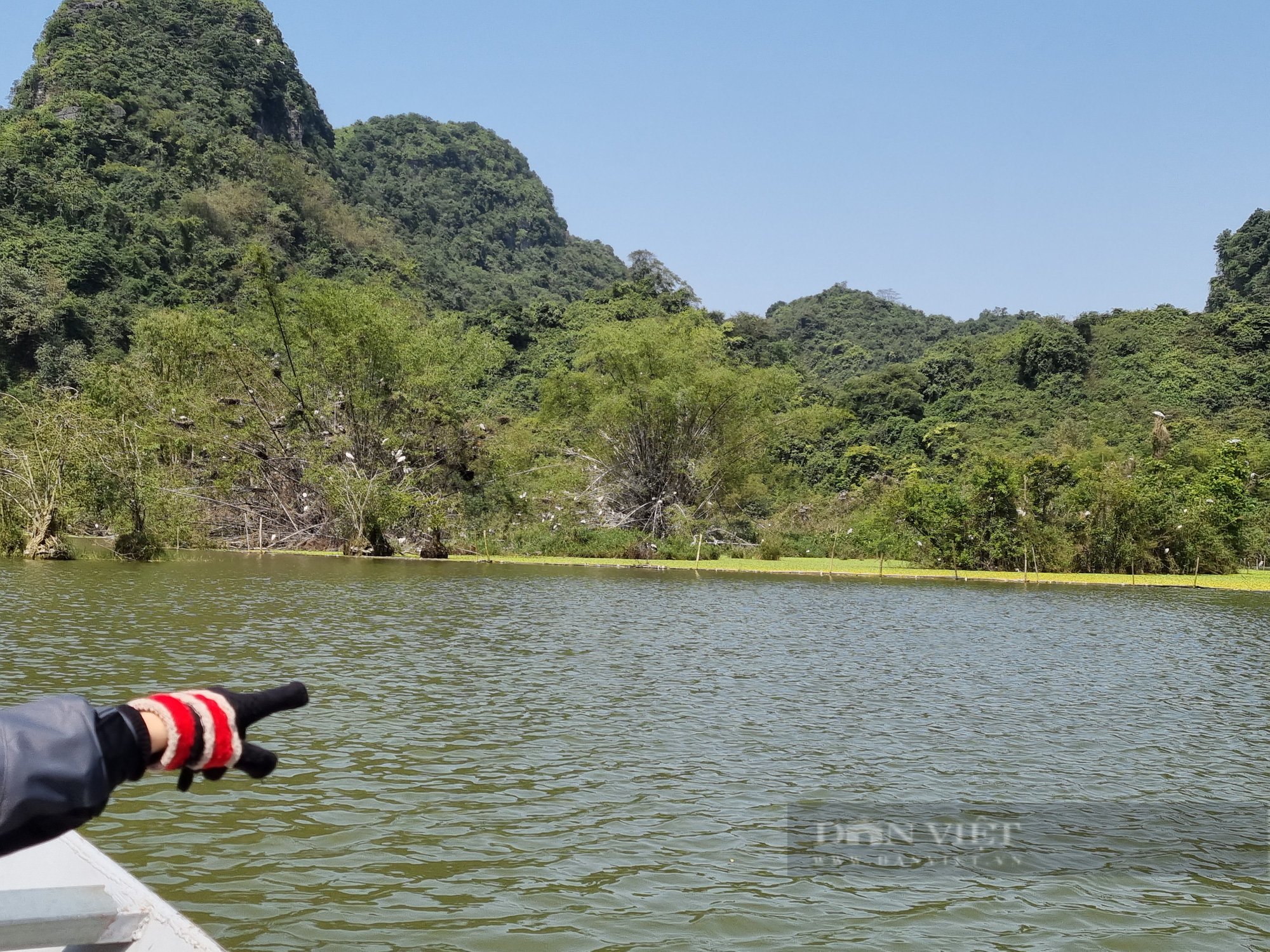 Khám phá vườn chim Thung Nham ở Ninh Bình - Ảnh 4.